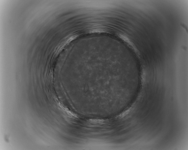 X0000103290825200809122005