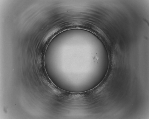 X0000103290826200809122005