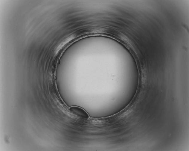 X0000103290827200809122005