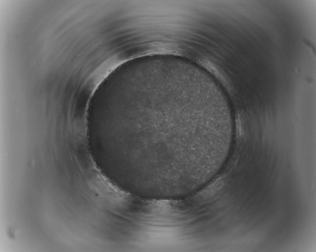 X0000103290828200809122005