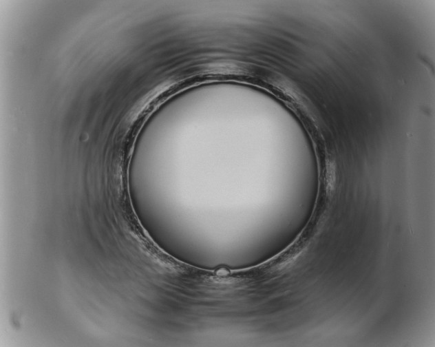 X0000103290829200809122005