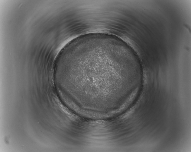 X0000103290830200809122005