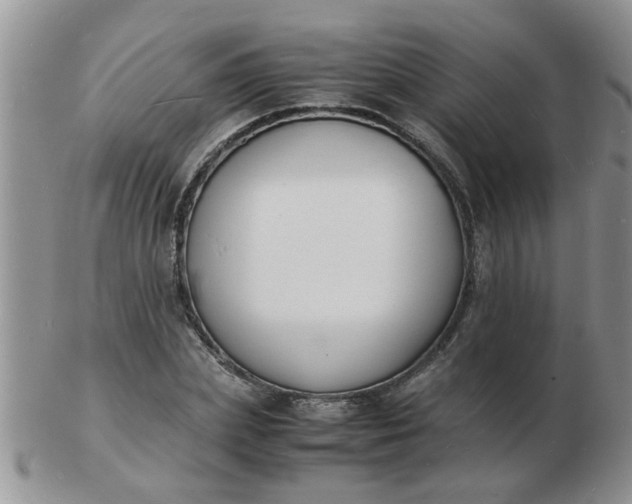 X0000103290831200809122005