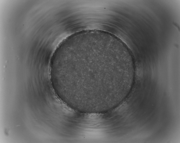 X0000103290832200809122005