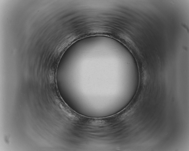 X0000103290833200809122005