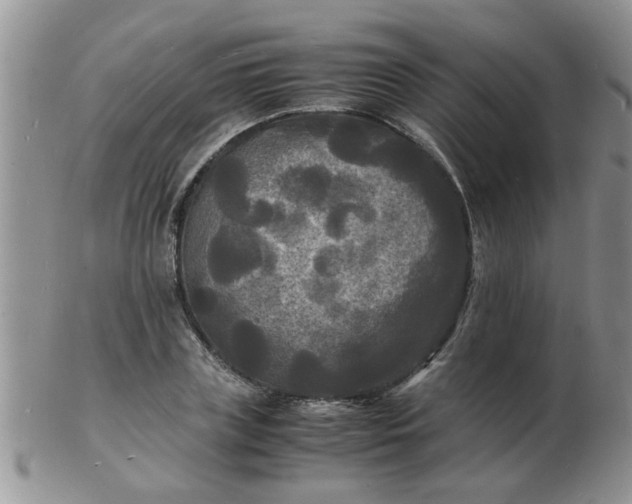 X0000103290835200809122005