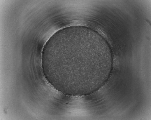 X0000103290836200809122005