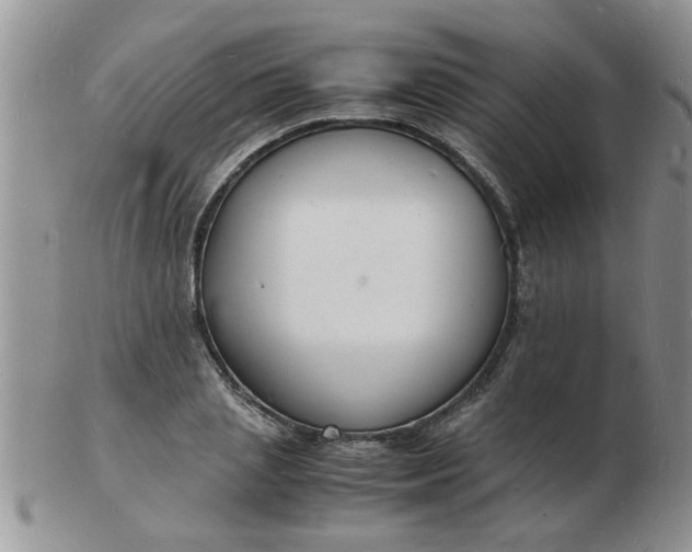 X0000103290837200809122005