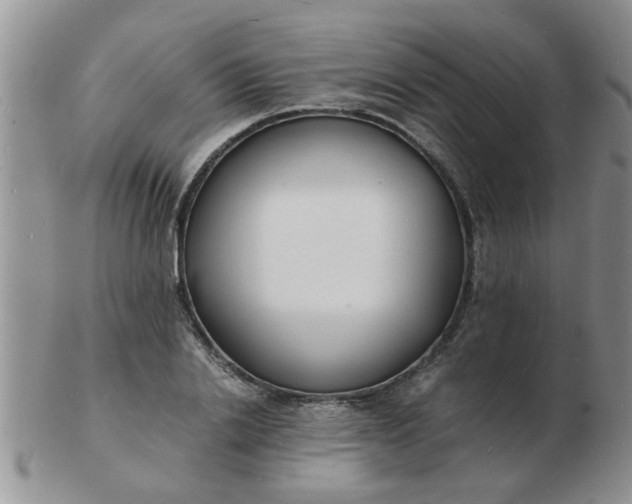 X0000103290838200809122005