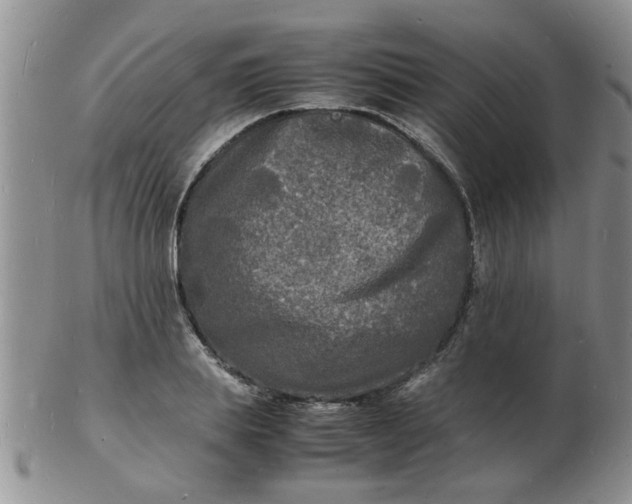 X0000103290839200809122006