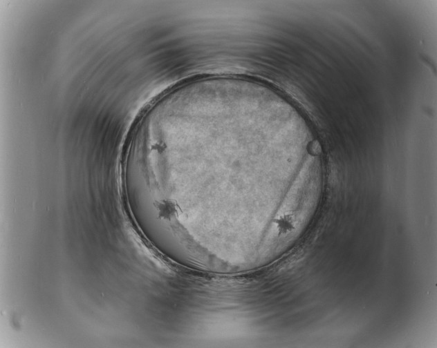 X0000103290840200809122006