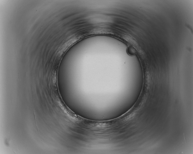 X0000103290841200809122006