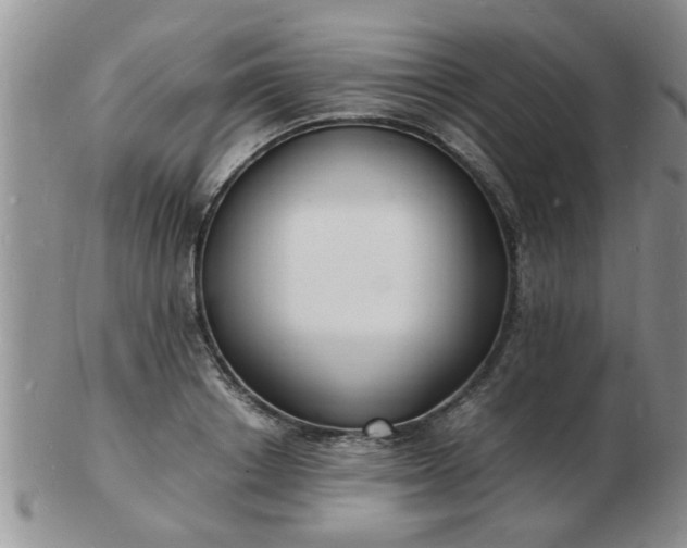 X0000103290842200809122006