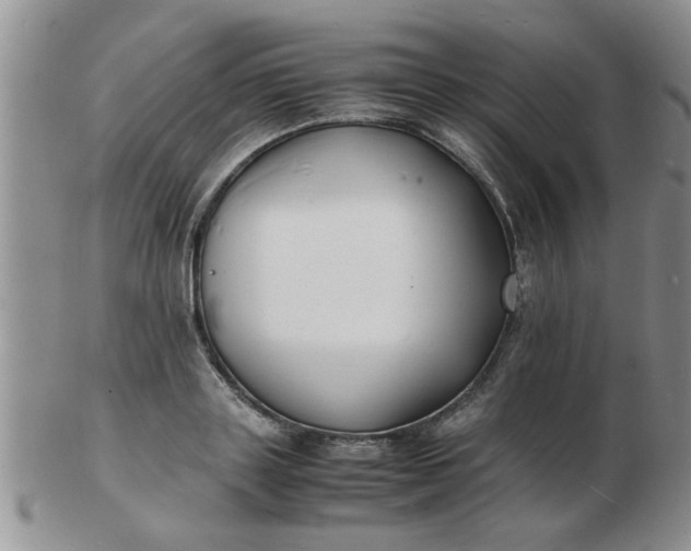 X0000103290843200809122006