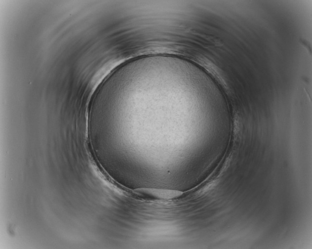 X0000103290844200809122006