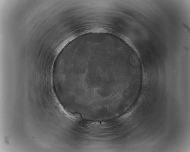 X0000103290845200809122006