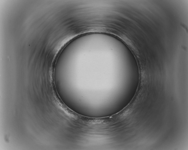 X0000103290846200809122006