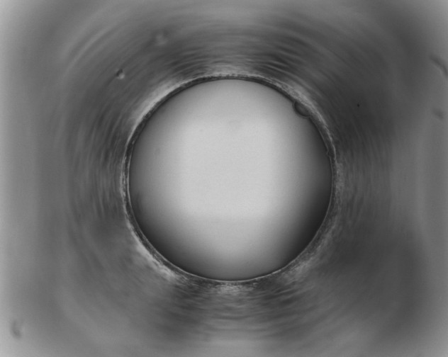 X0000103290847200809122006