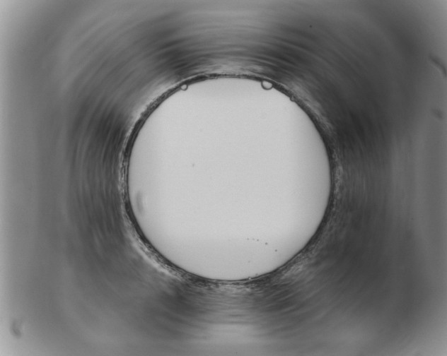 X0000103290848200809122006