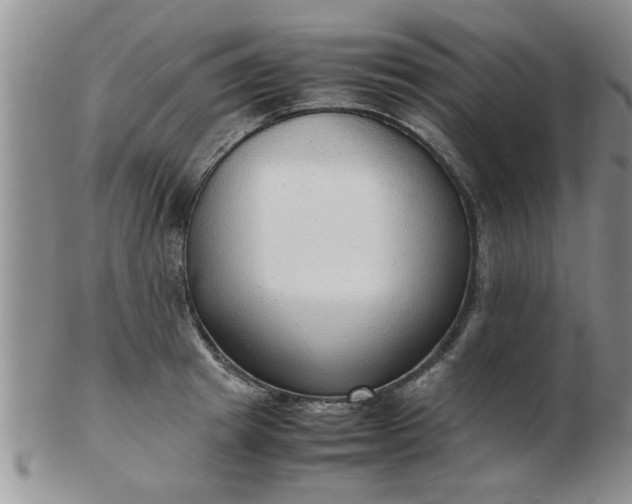 X0000103290849200809122006