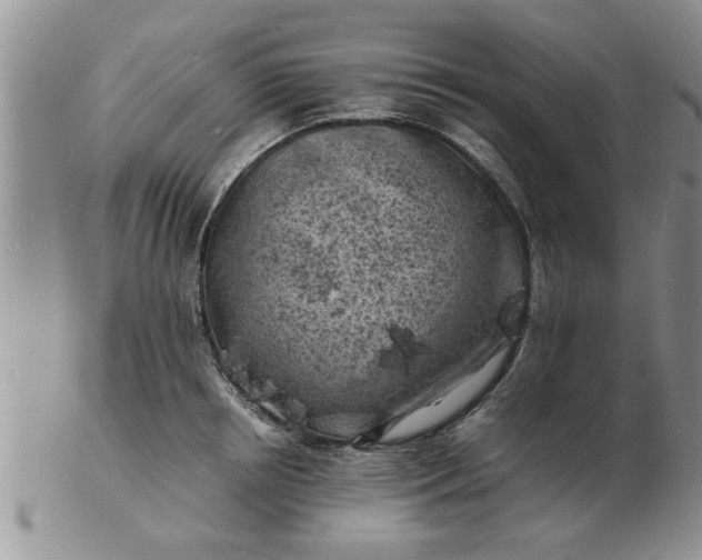 X0000103290850200809122006