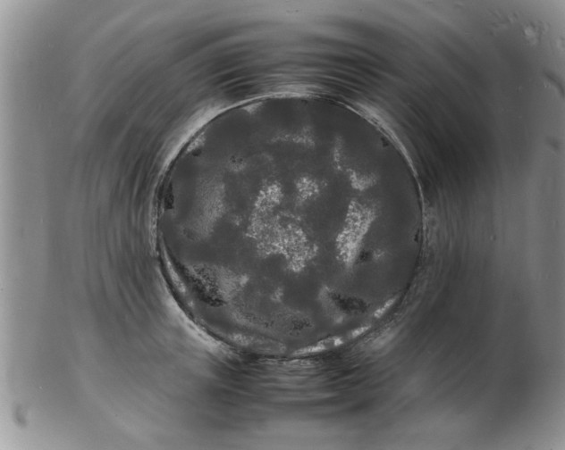 X0000103290851200809122006