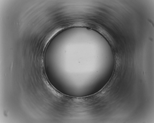 X0000103290852200809122006