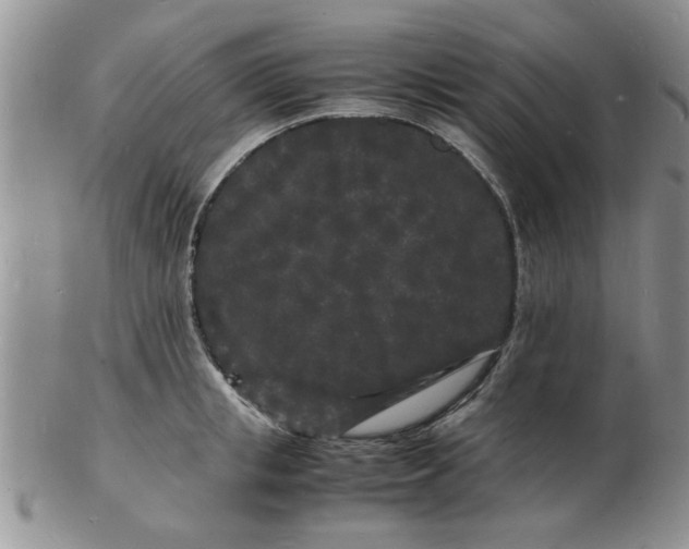 X0000103290853200809122006