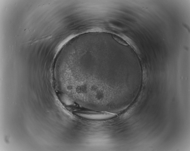 X0000103290854200809122006