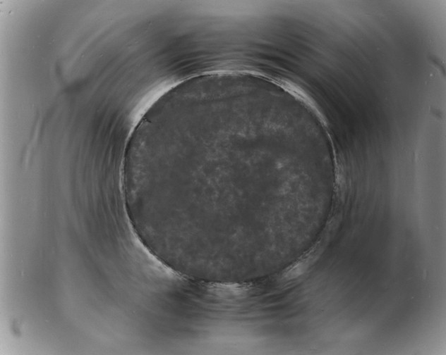 X0000103290855200809122006