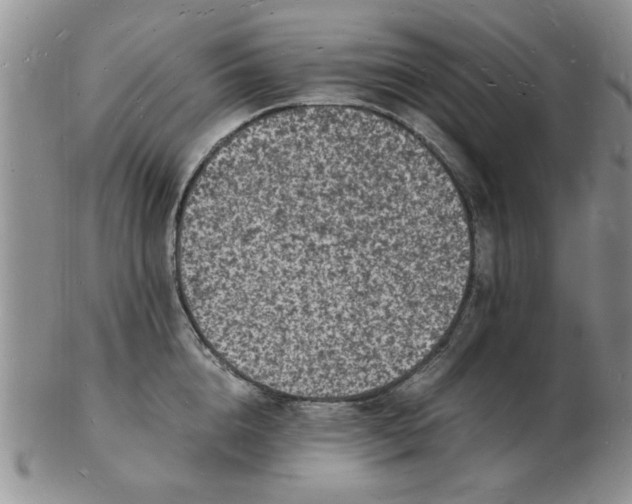 X0000103290856200809122006