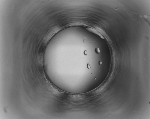 X0000103290857200809122006