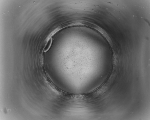 X0000103290858200809122006