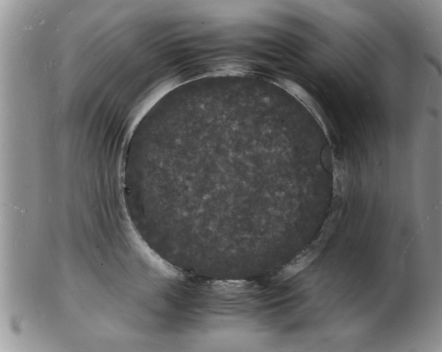 X0000103290859200809122006