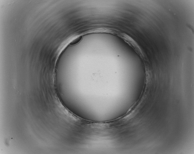 X0000103290860200809122006