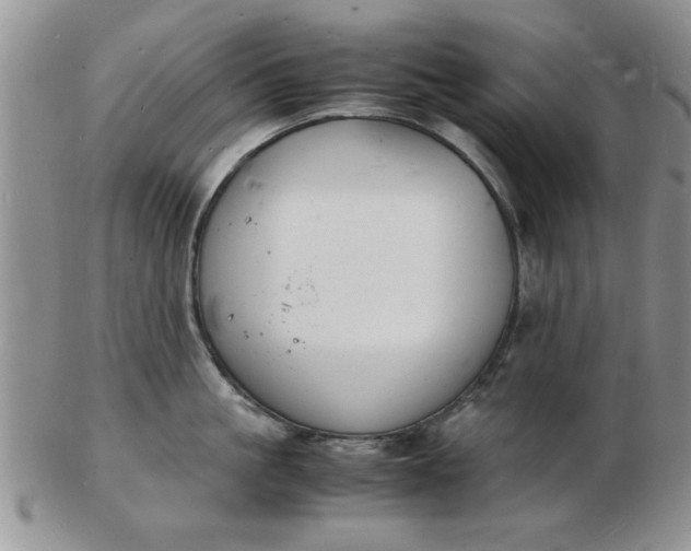 X0000103290861200809122006