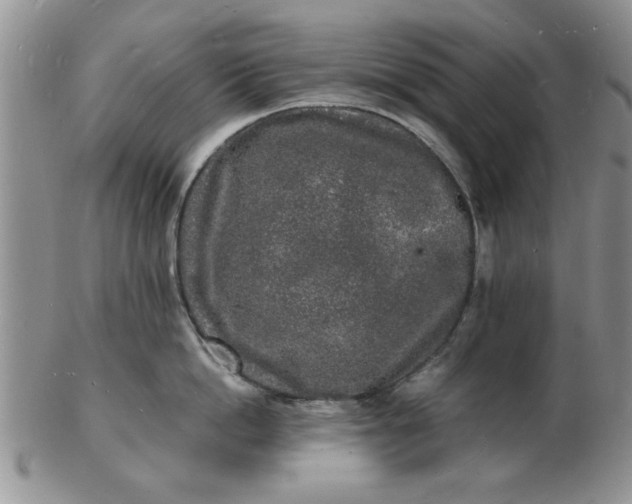 X0000103290862200809122006