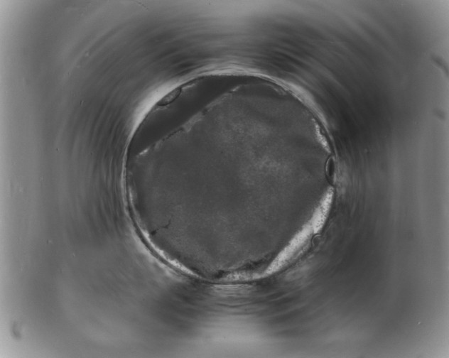 X0000103290863200809122006