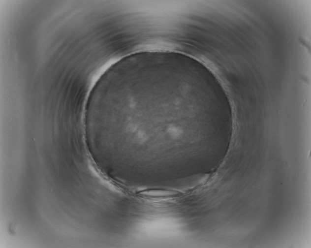 X0000103290864200809122006