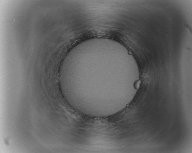 X0000103290865200809122005