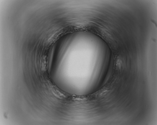 X0000103290868200809122005