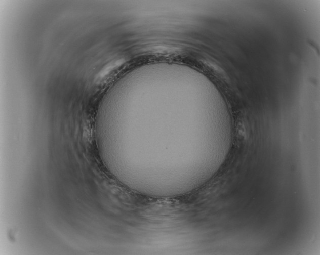 X0000103290869200809122005