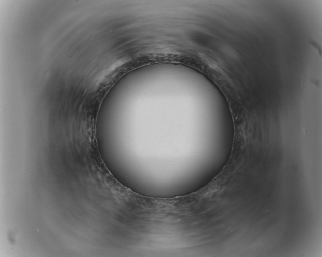 X0000103290870200809122005