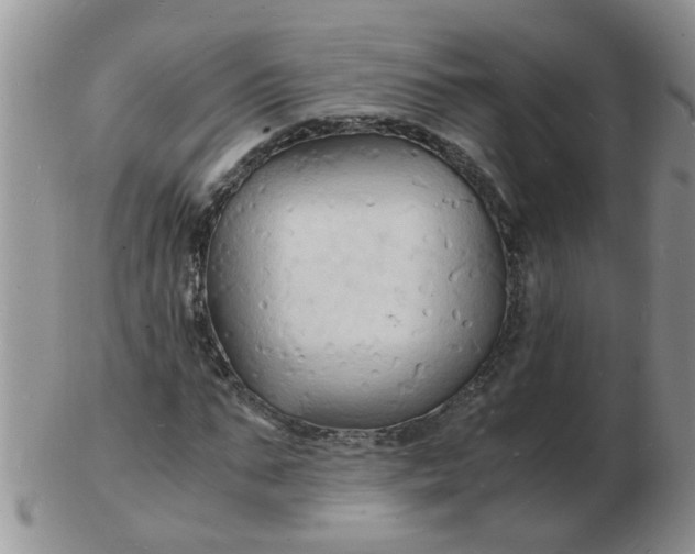 X0000103290871200809122005