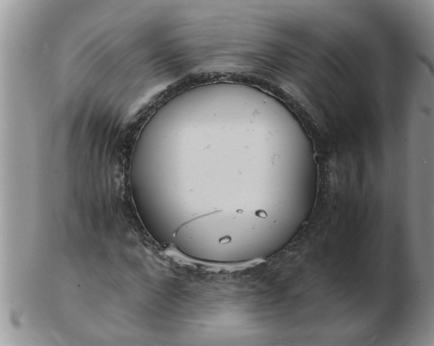 X0000103290872200809122005