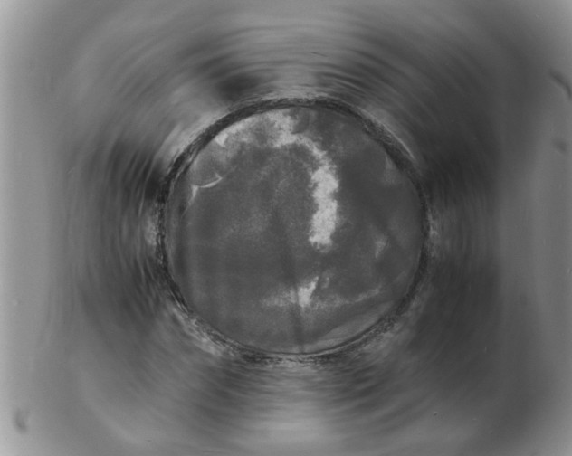 X0000103290874200809122005