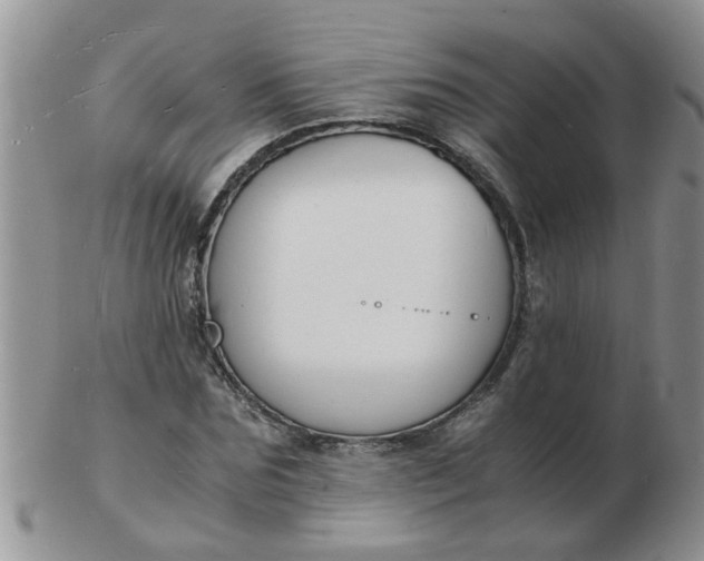 X0000103290875200809122005