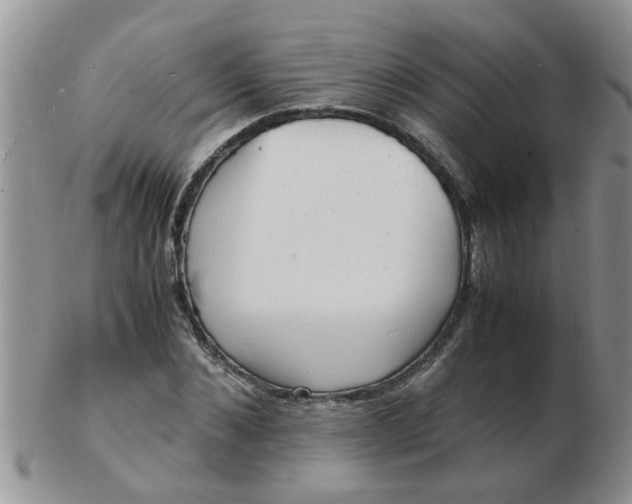 X0000103290876200809122005