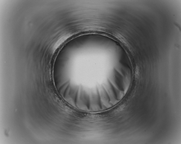 X0000103290877200809122005