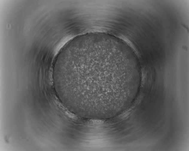 X0000103290878200809122005